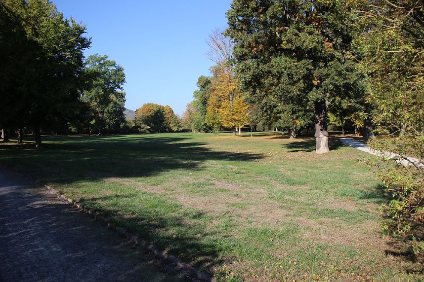 Wie weiter mit dem Schlosspark Sondershausen?