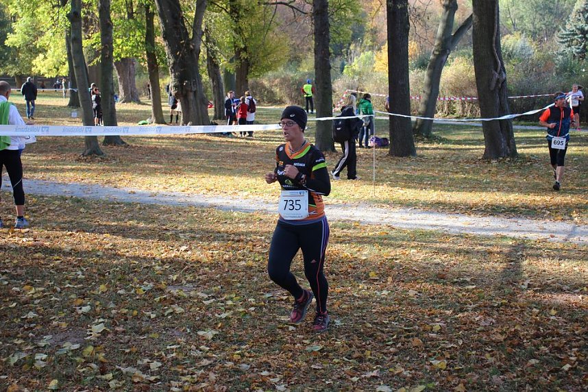 Stadtparklauf in Sondershausen (2)