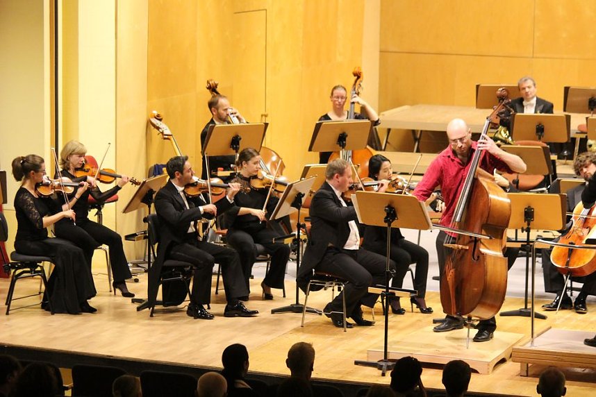 Virtuos am Kontrabass