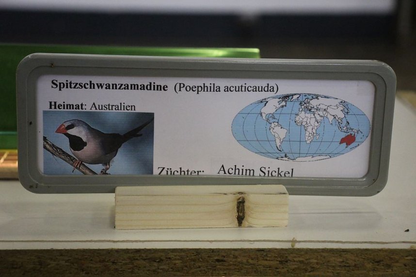 50 Jahre Ziergefl&uuml;gelausstellung in Sondershausen