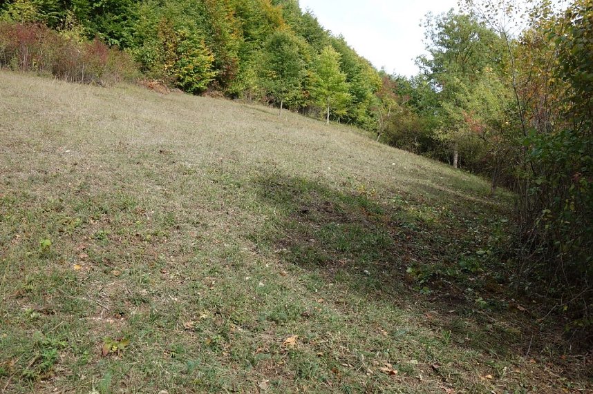 Projektfl&auml;che Teichtal Hainrode nach Beendigung der Pflegema&szlig;nahmen