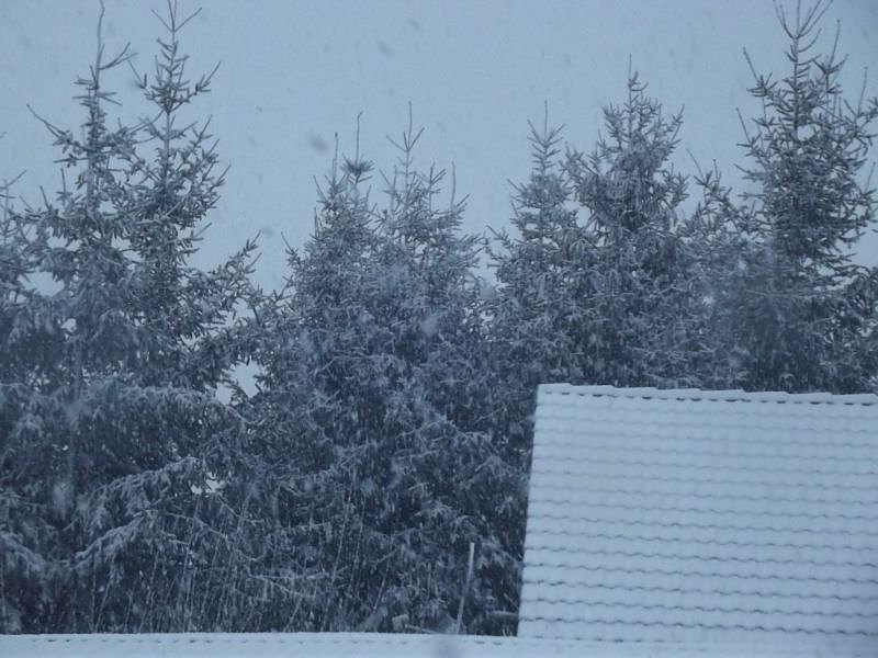 Bastel- und Geschenkideen im WB 4 pr&auml;sentiert