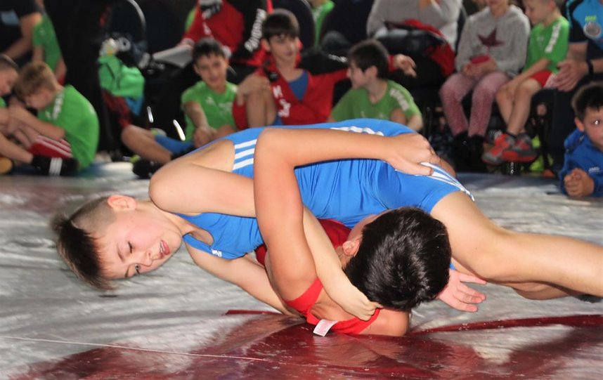 3. Platz f&uuml;r Arterns j&uuml;ngste Ringk&auml;mpfer