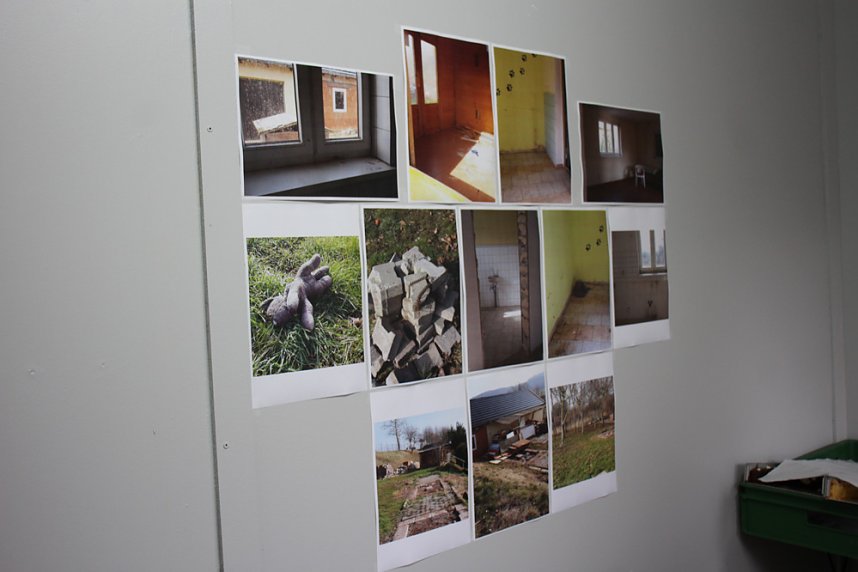 Weihnacht bei den Samtpfoten