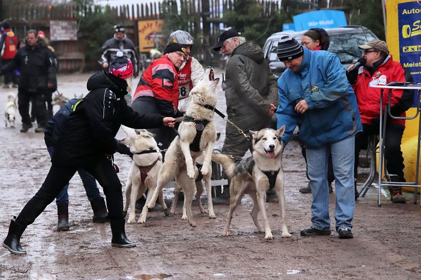 Hundeschlittenrennen in Pullman City