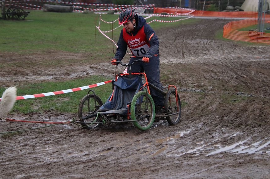 Hundeschlittenrennen in Pullman City