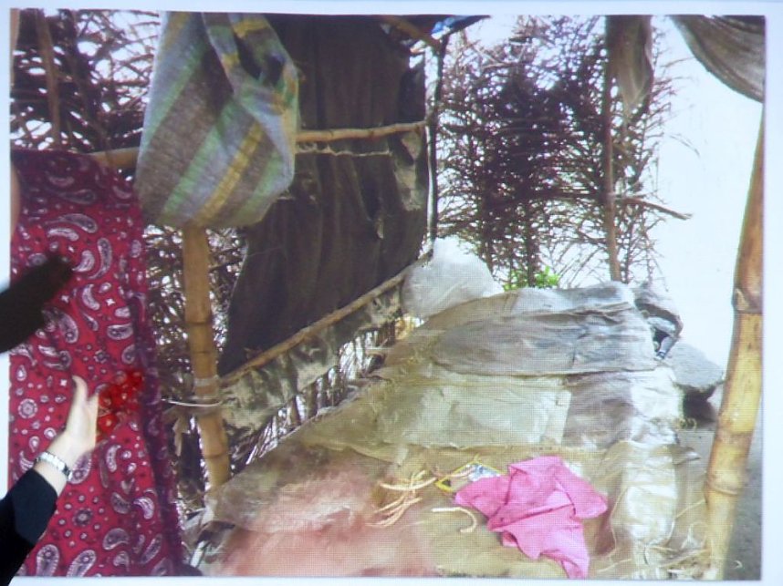 Von Kongoreise berichtet