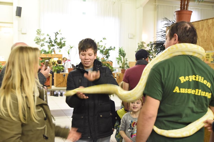 Reptilien Ausstellung