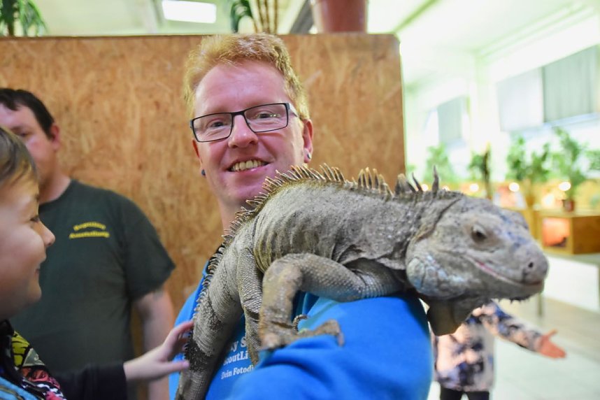 Reptilien Ausstellung