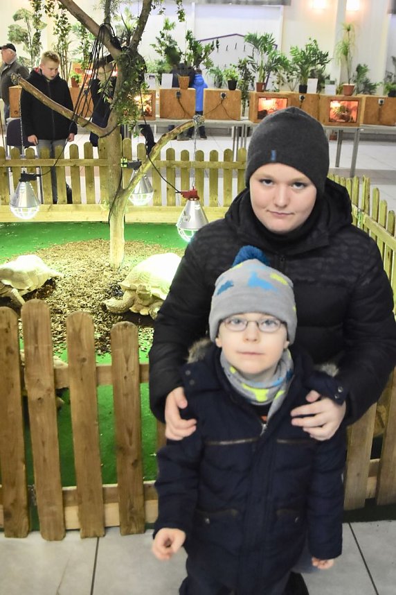 Reptilien Ausstellung