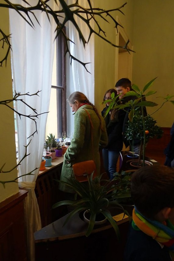 Exotisches aus Sondershausen