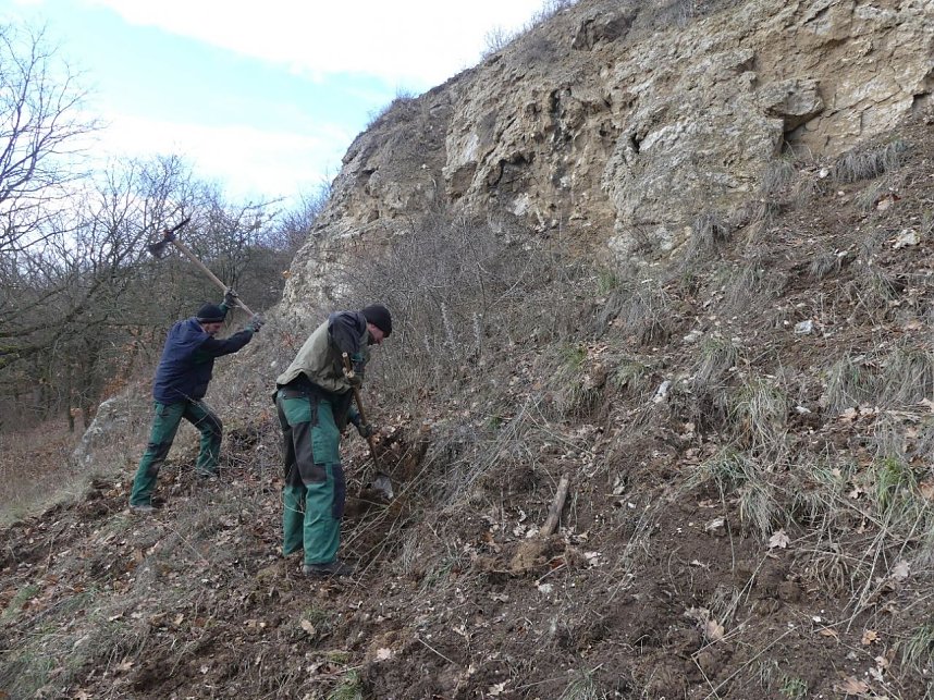 Kulturlandschaft am Kyffh&auml;user wird gepflegt