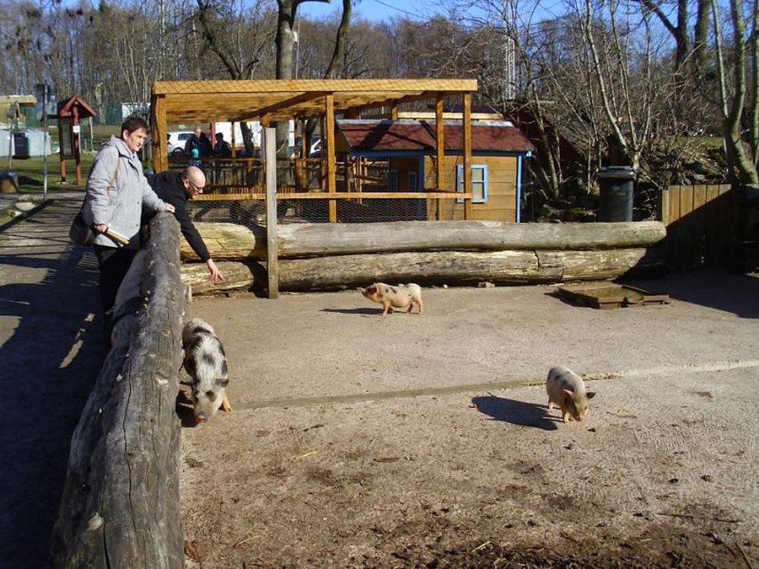 Zu Besuch bei Erdm&auml;nnchen, Gepard und Co. auf dem Possen
