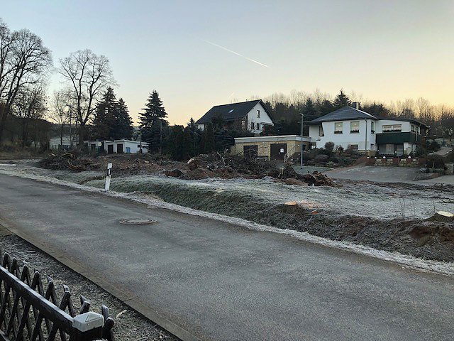 Thema Baumrodungen in Sondershausen