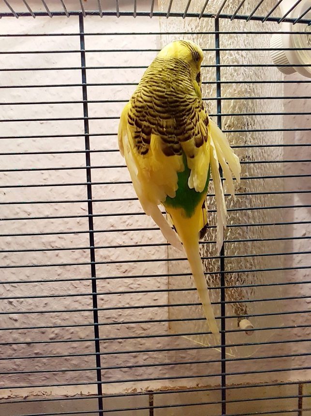 Wer macht so etwas???