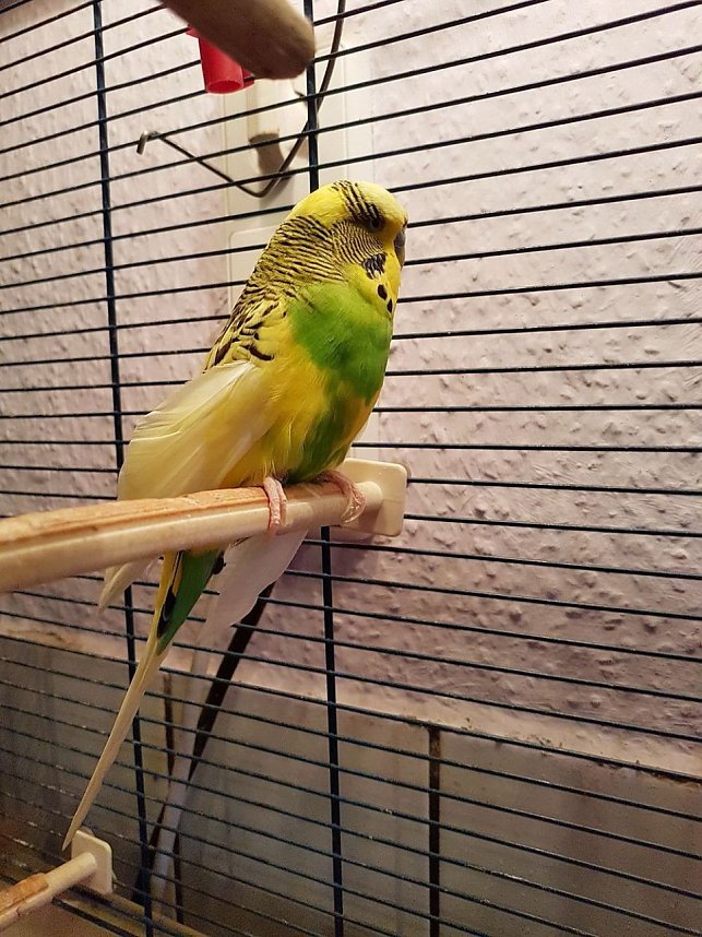 Wer macht so etwas???