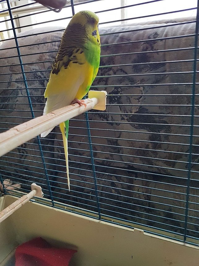 Wer macht so etwas???