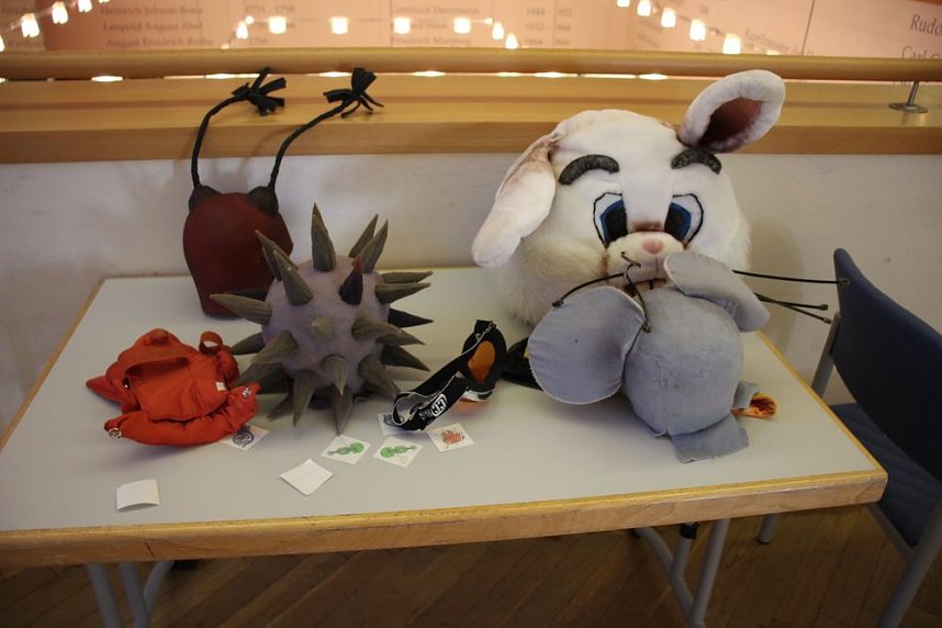 Hier ging es tierisch zu