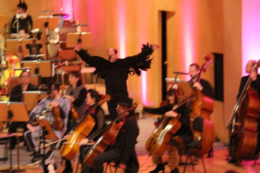 Hier ging es tierisch zu