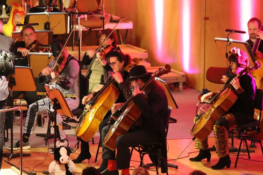 Hier ging es tierisch zu