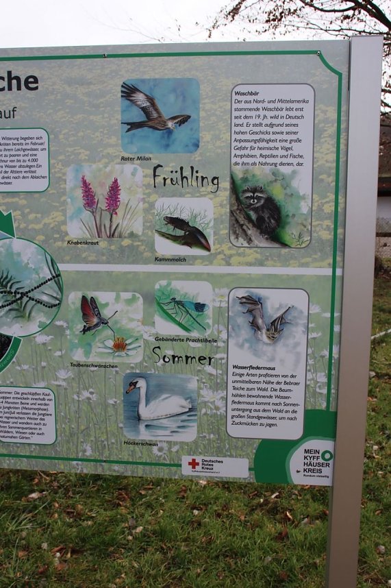 Natur und Schwimmen, das passt