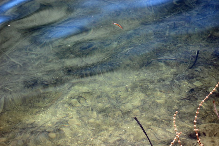 Es ist wieder soweit: Jugend musiziert 2019