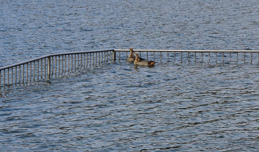 Es ist wieder soweit: Jugend musiziert 2019