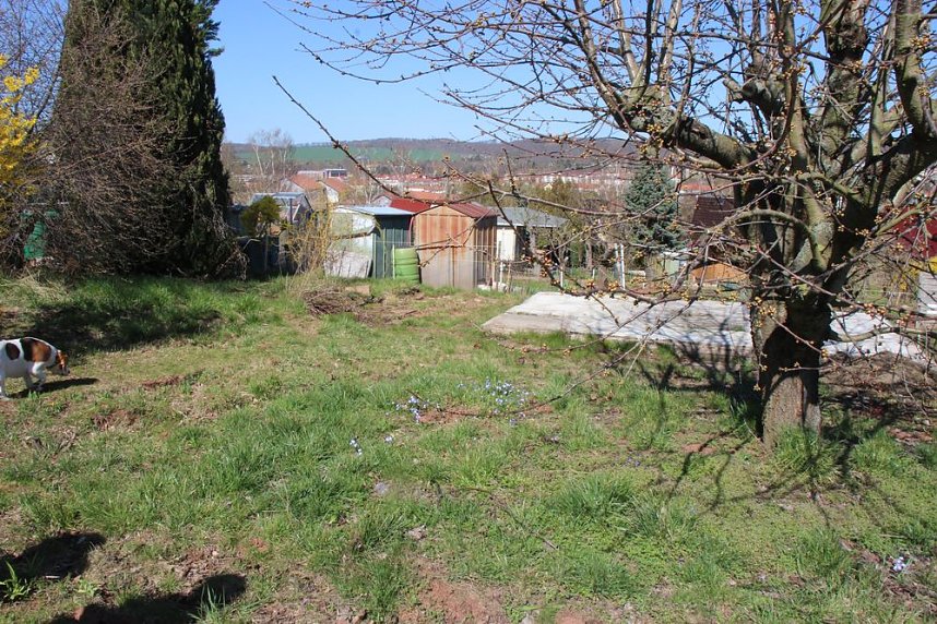 Verein k&auml;mpft gegen Leerstand