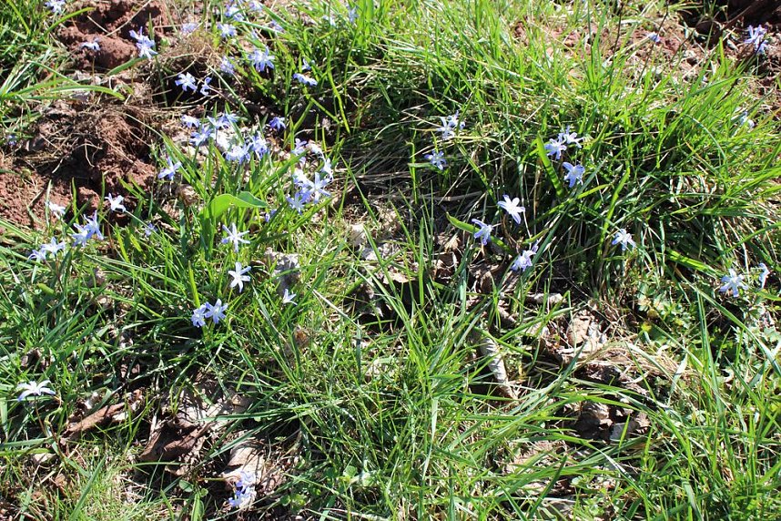 Verein k&auml;mpft gegen Leerstand