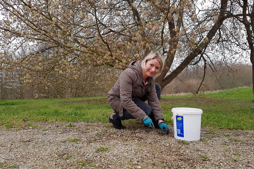 Fr&uuml;hjahrsputz im Wohngebiet