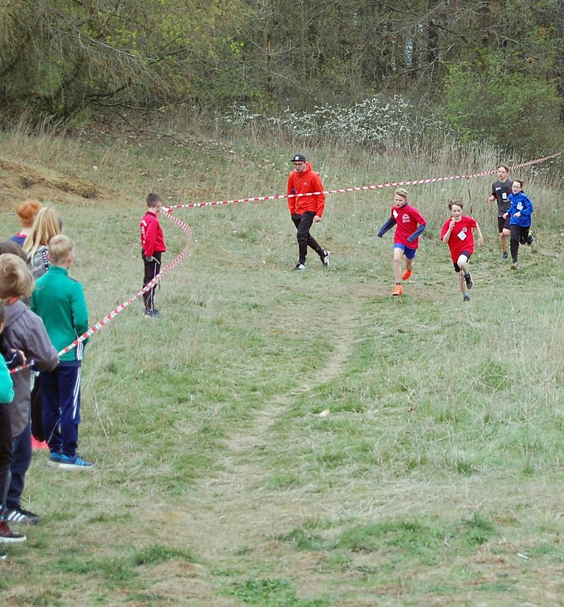 Gl&uuml;ckliche Sieger beim Crosslauf der Schulen