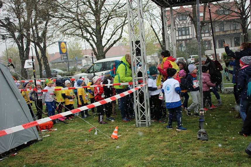 Baminis hart im Nehmen