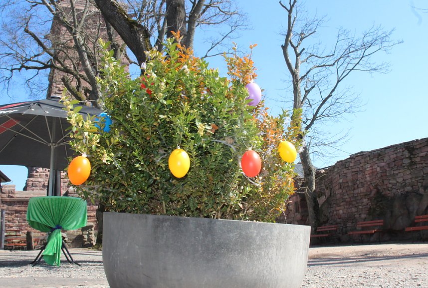 Kunstf&uuml;hrer zum Kyffh&auml;user-Denkmal vorgestellt