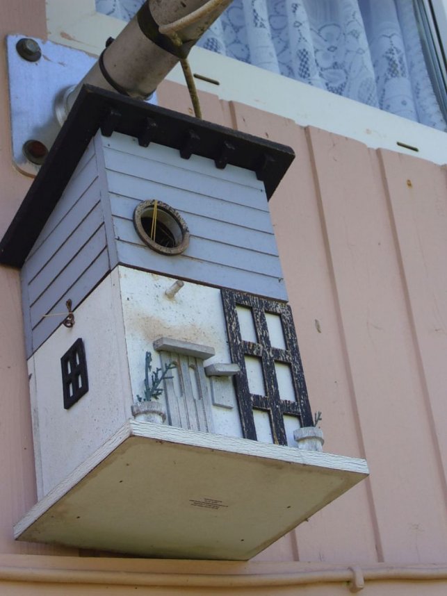 Blick &uuml;ber den Gartenzaun