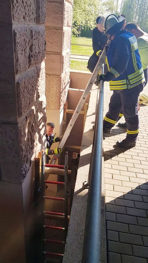 Bambi am Ostersonntag in N&ouml;ten