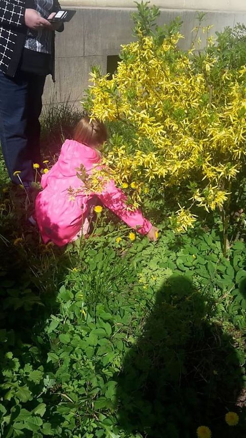 Ostereier im Pfarrgarten