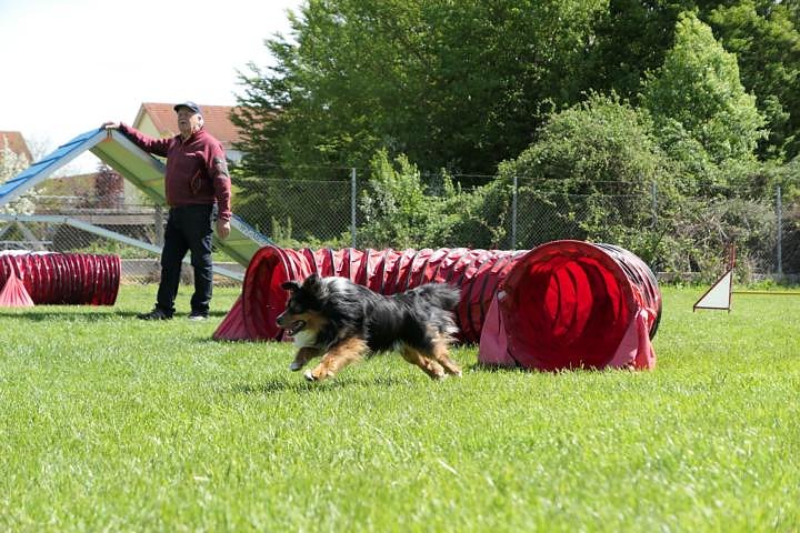 Agilityseminar mit Harry W. Mac Nelly