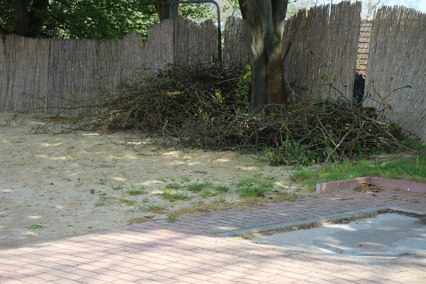 Anbaden am Bebraer Teich