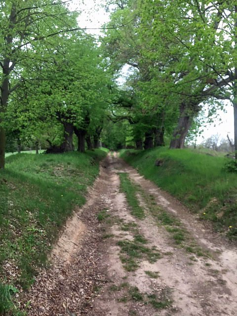 Heimat neu entdecken