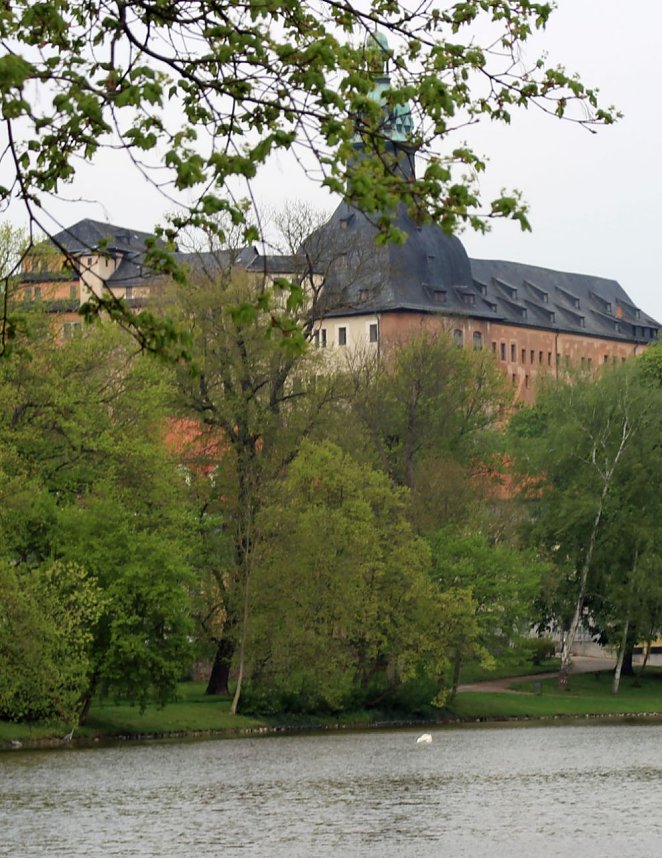 Schwanenpopulation stabil