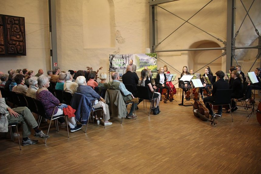 1. Sondersh&auml;user Blutbuchen�K&ouml;nigin gekr&ouml;nt