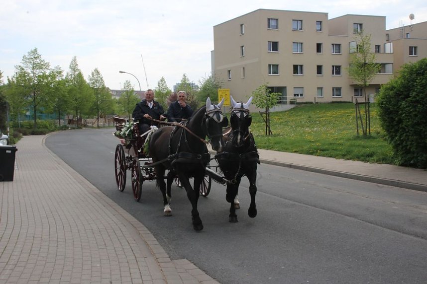 1. Sondersh&auml;user Blutbuchen�K&ouml;nigin gekr&ouml;nt