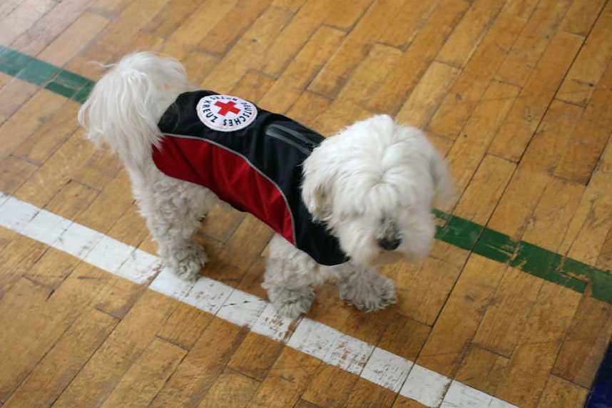 Mit Begeisterung Erste Hilfe lernen, erleben und leben