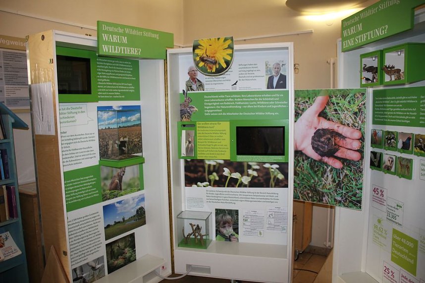 Rotmilan Wanderausstellung er&ouml;ffnet