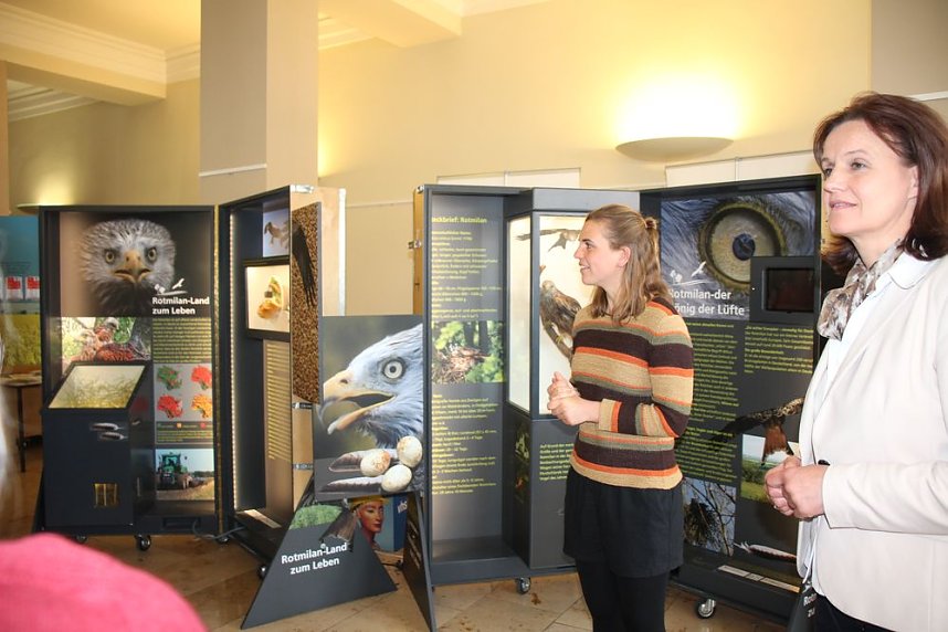 Rotmilan Wanderausstellung er&ouml;ffnet