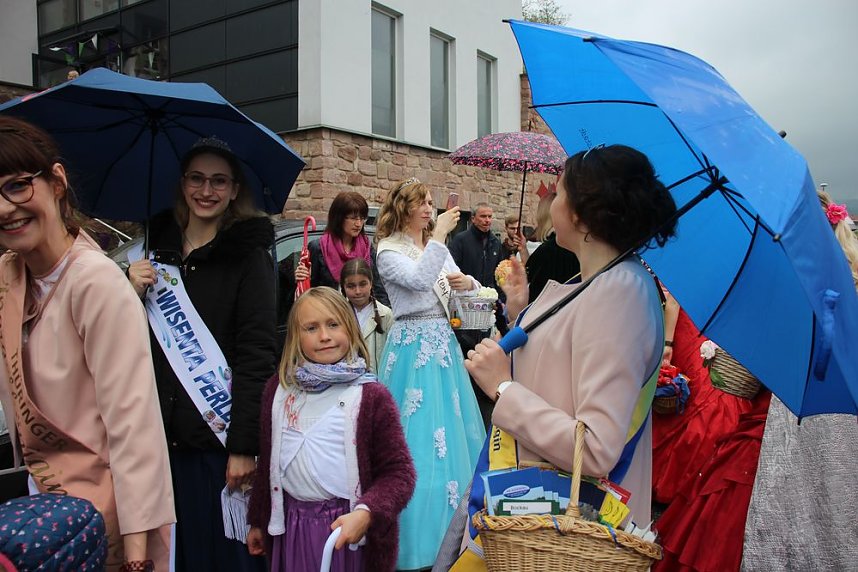 Fliederparade mit Schirm