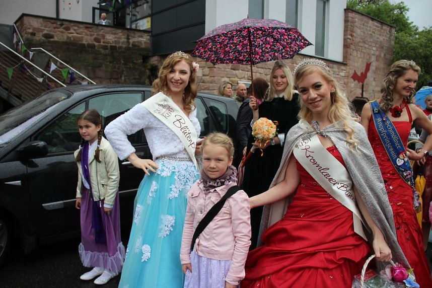 Fliederparade mit Schirm