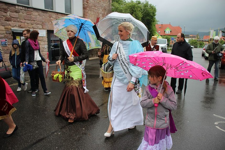 Fliederparade mit Schirm