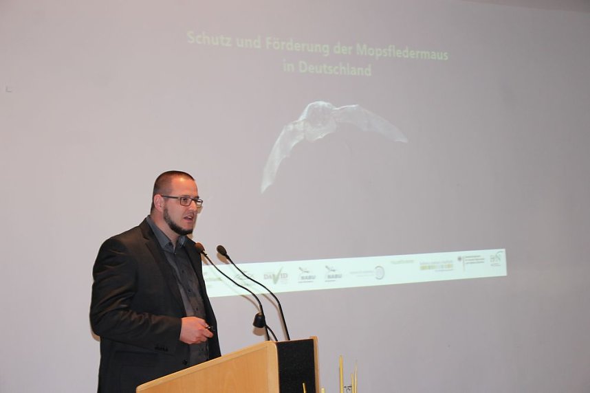 Mittel zum Schutz der Mopsfledermaus