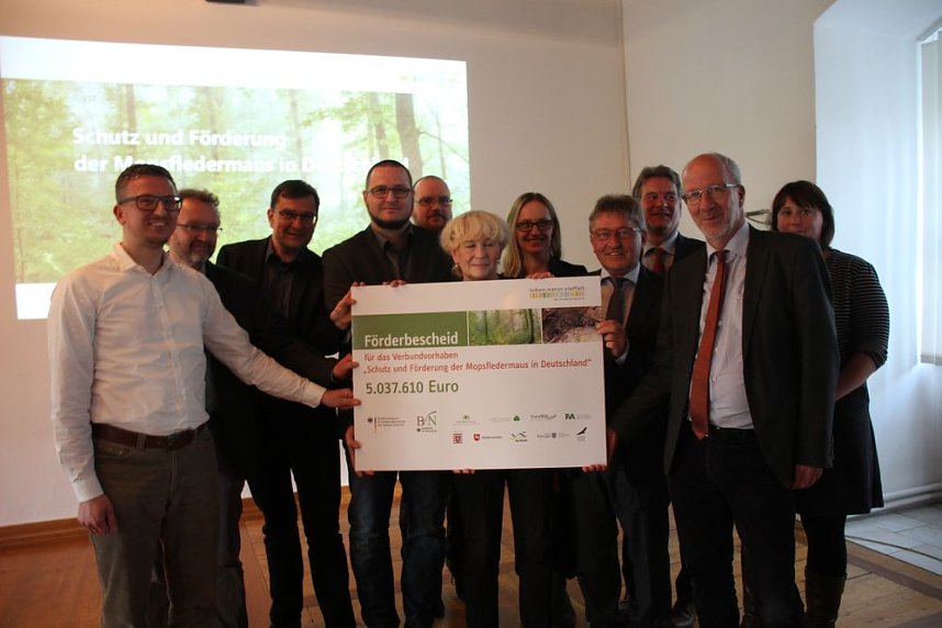 Mittel zum Schutz der Mopsfledermaus